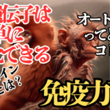 富士市整体｜リバース｜美容整体｜美容矯正｜ブログ｜サーチュイン遺伝子｜アカゲザル｜長寿遺伝子