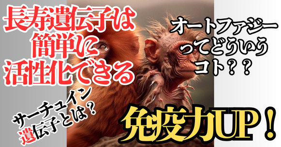 アンチエイジングの秘訣は「空腹」！？“食べすぎ社会”に生きる私たちが陥りやすい罠